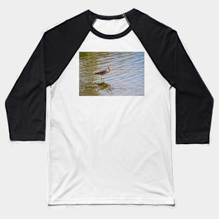 Great Blue Heron Baseball T-Shirt